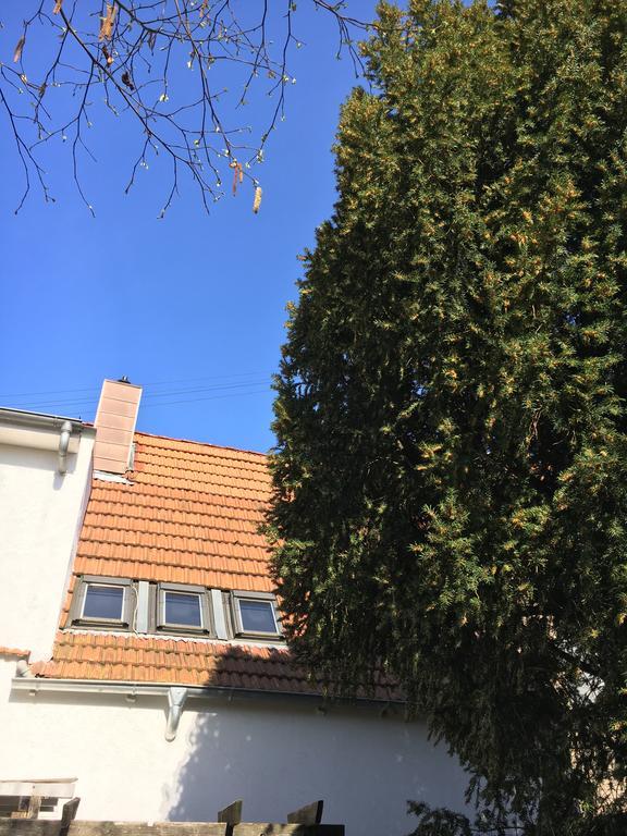 Pension Haus Baron 2 Friedrichsfeld Edingen-Neckarhausen Luaran gambar